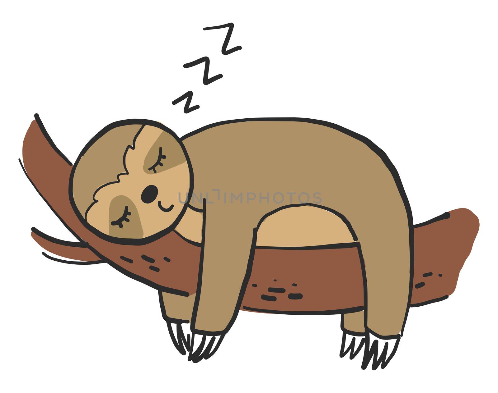 Sleeping sloth on tree , illustration, vector on white background
