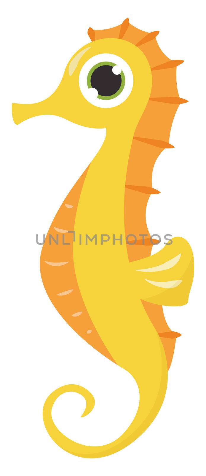 Yellow seahorse , illustration, vector on white background by Morphart