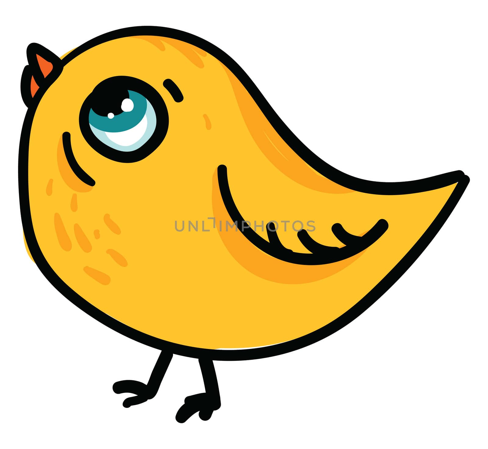 Small chick , illustration, vector on white background by Morphart