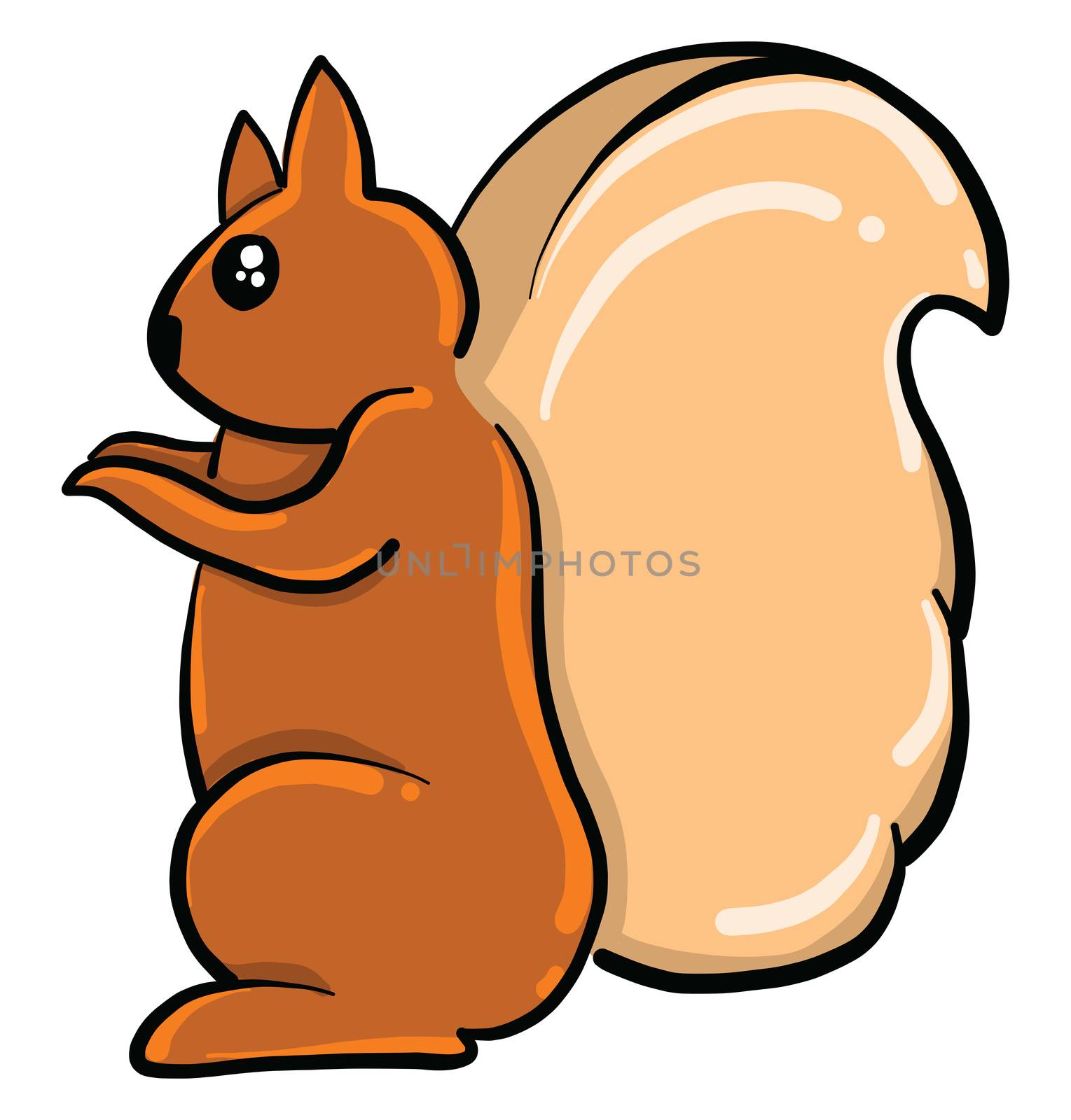 Brown squirrel , illustration, vector on white background by Morphart