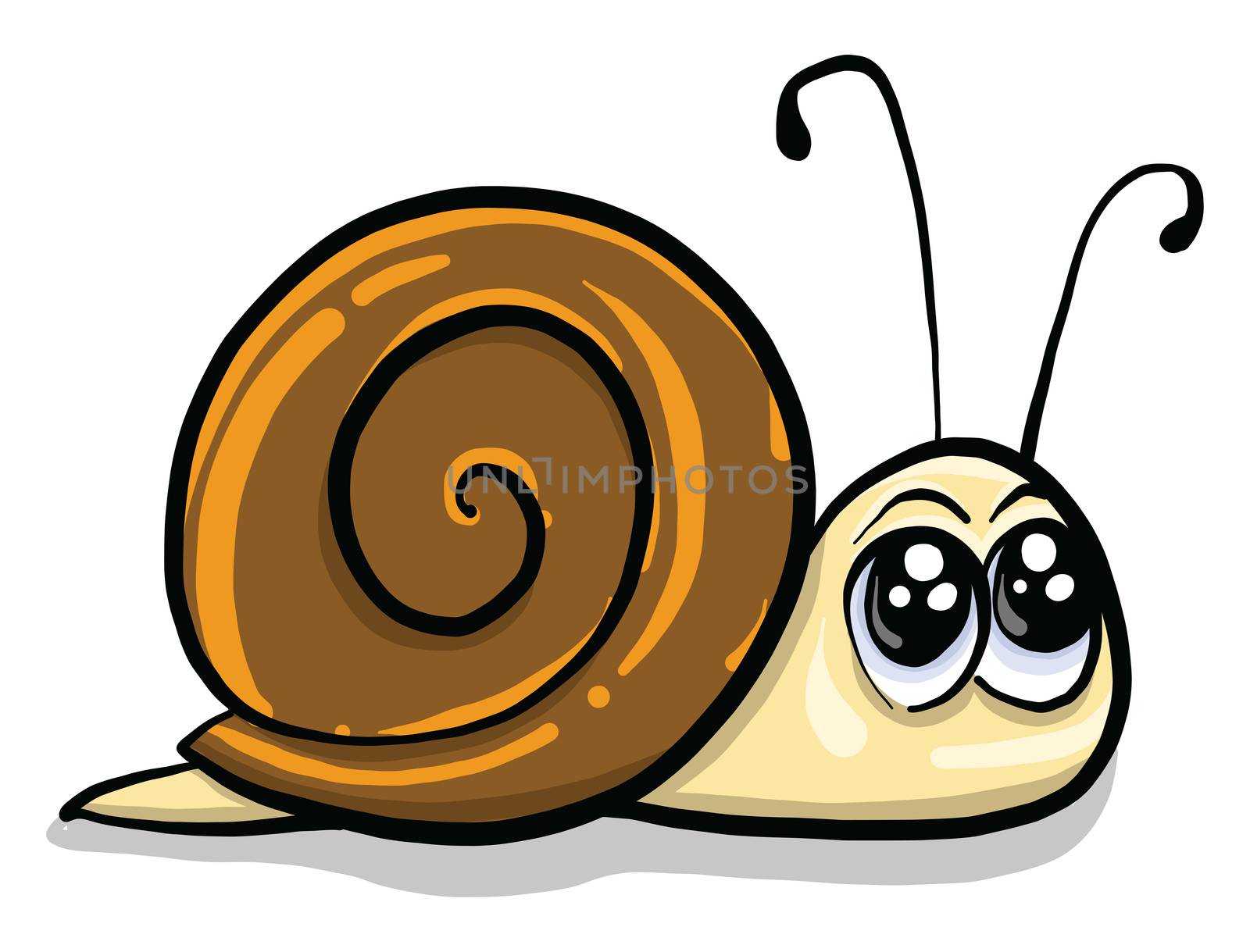 Small snail , illustration, vector on white background by Morphart