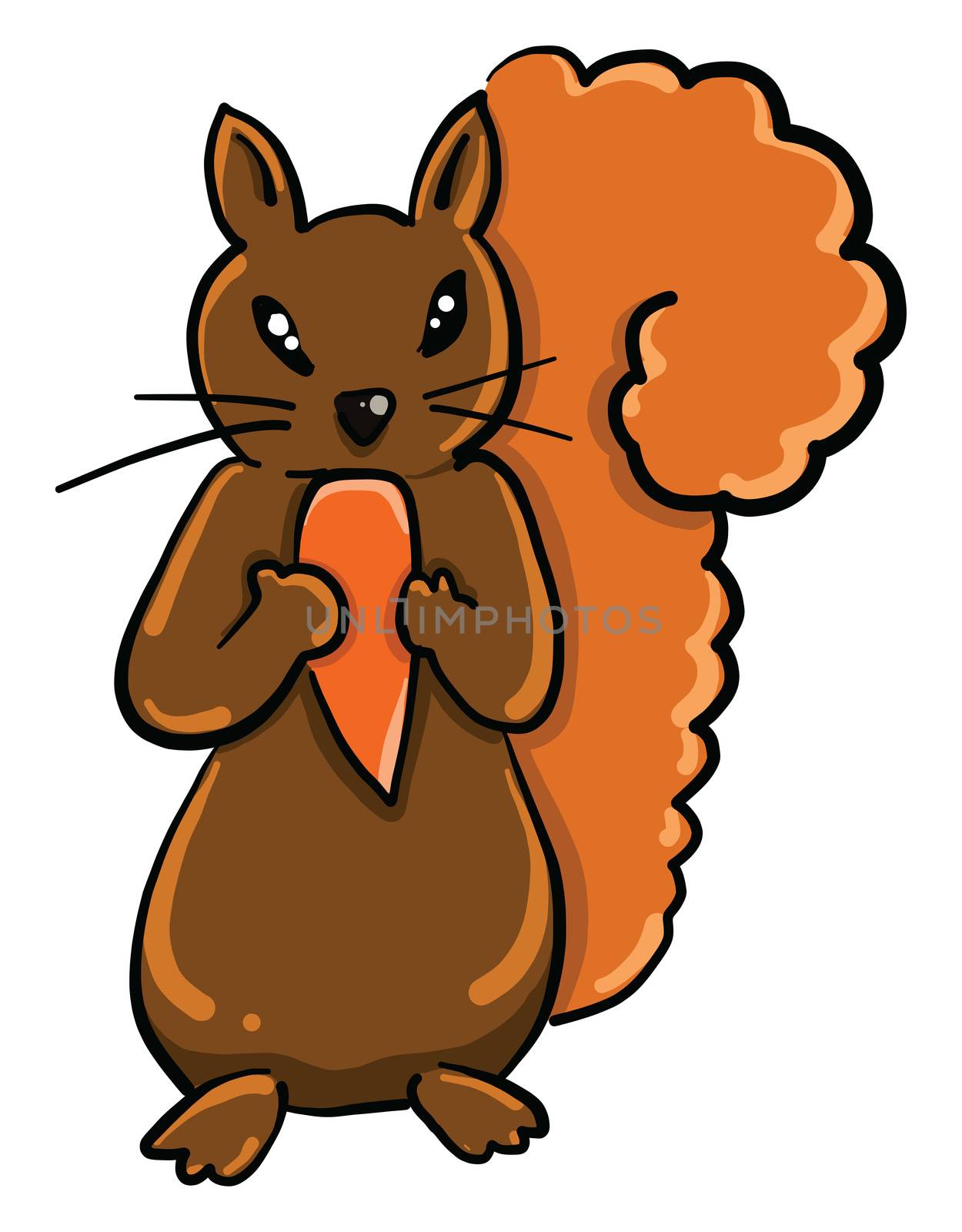 Squirrel with food , illustration, vector on white background