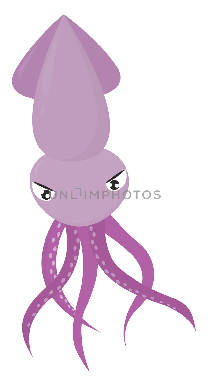 Purple squid , illustration, vector on white background by Morphart