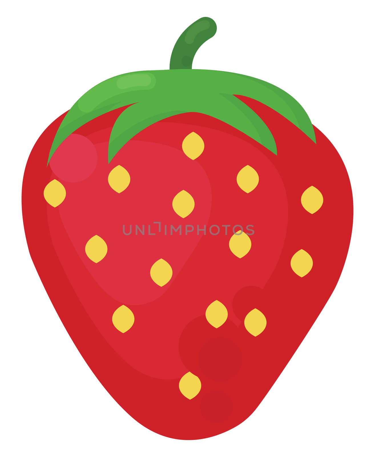 Flat strawberry , illustration, vector on white background by Morphart