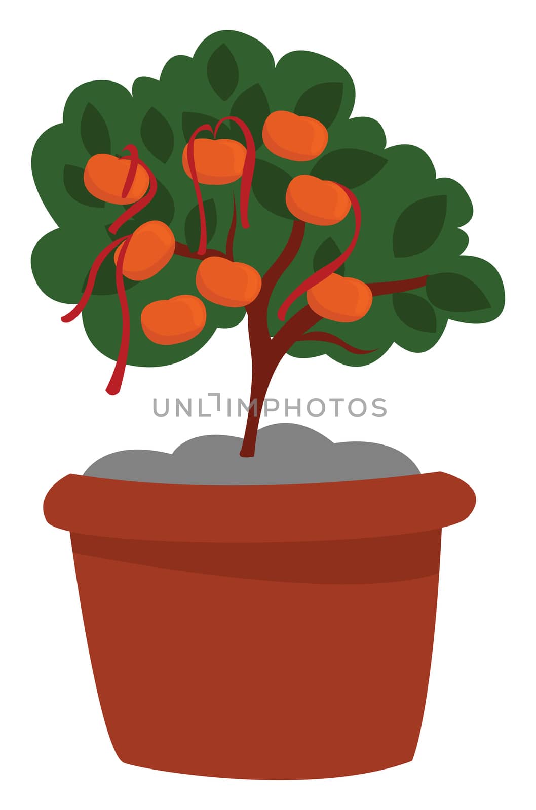 Tangerine tree , illustration, vector on white background
