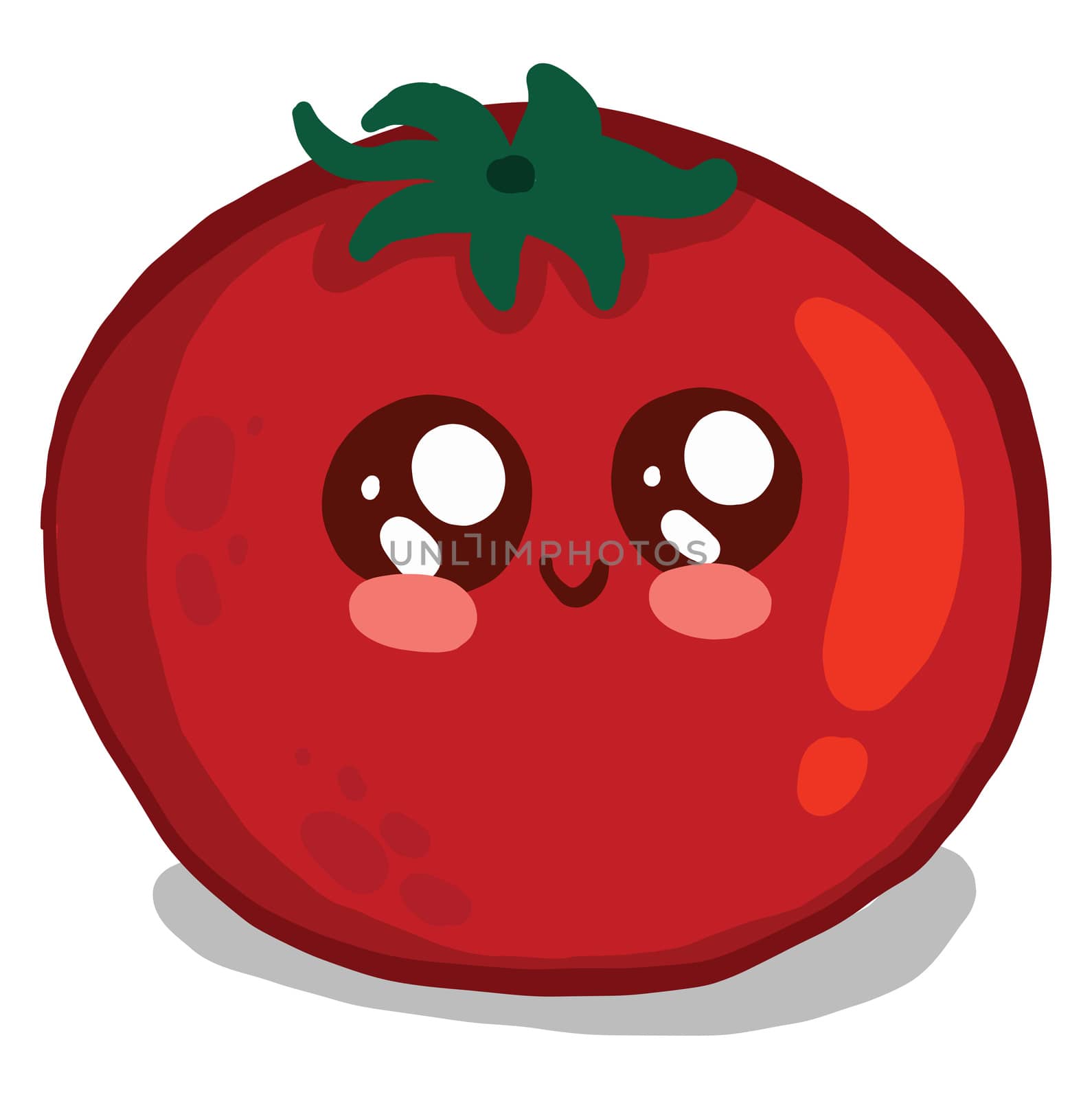 Cute red tomato , illustration, vector on white background by Morphart
