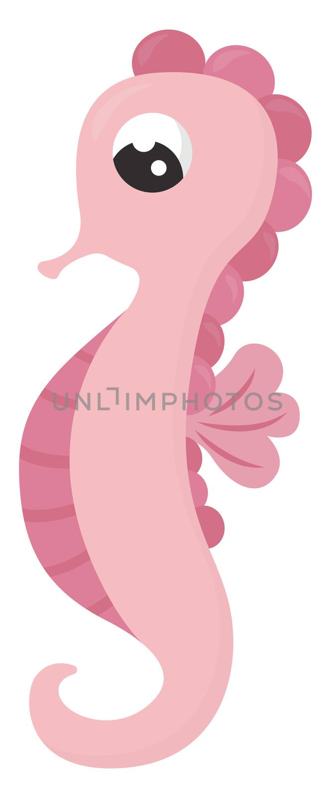 Pink seahorse , illustration, vector on white background by Morphart