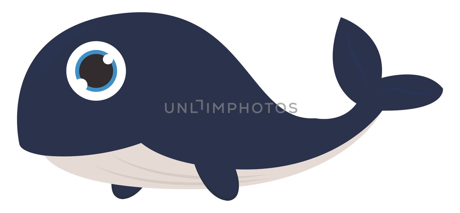 Big blue whale , illustration, vector on white background by Morphart