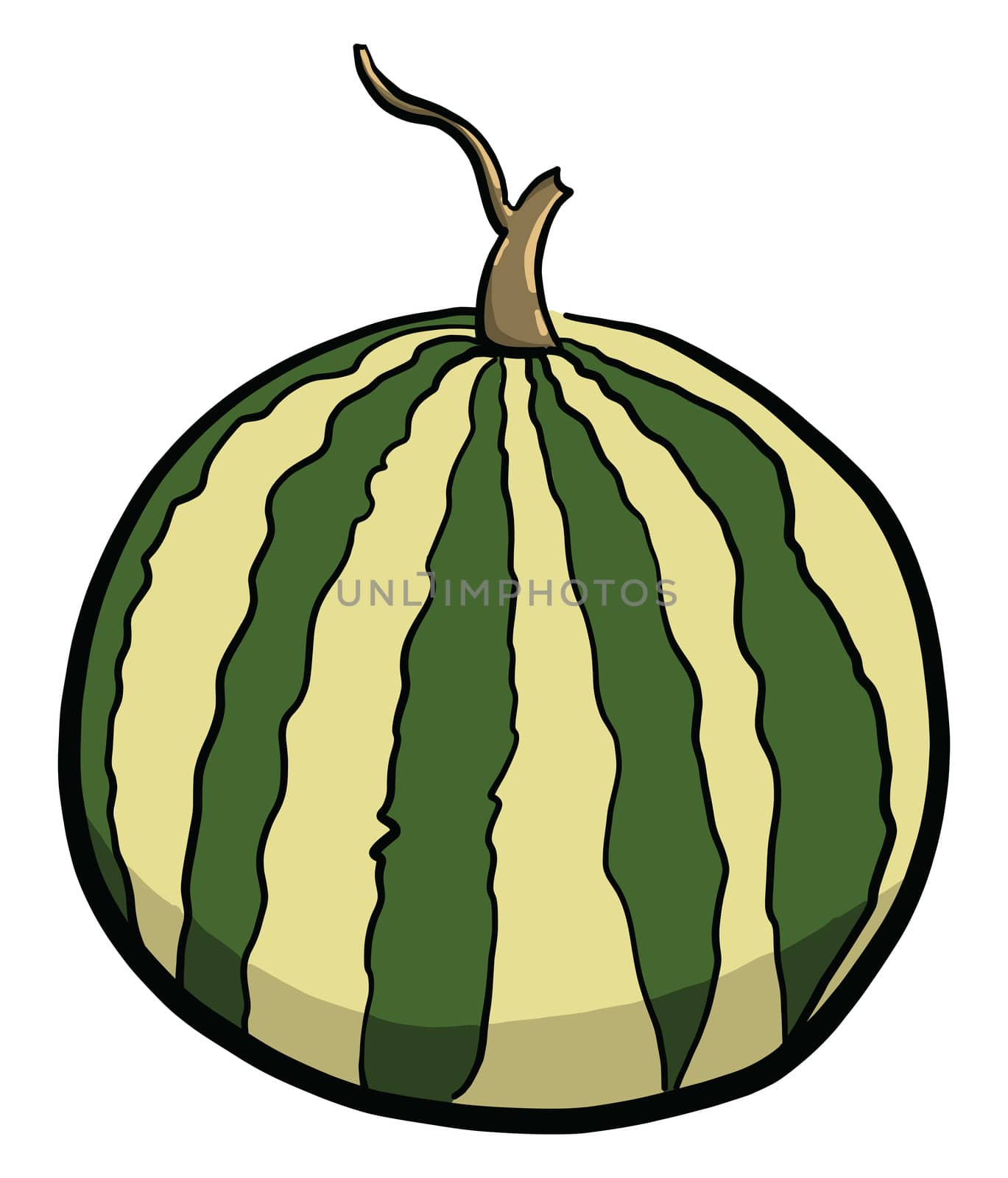 Big watermelon , illustration, vector on white background by Morphart