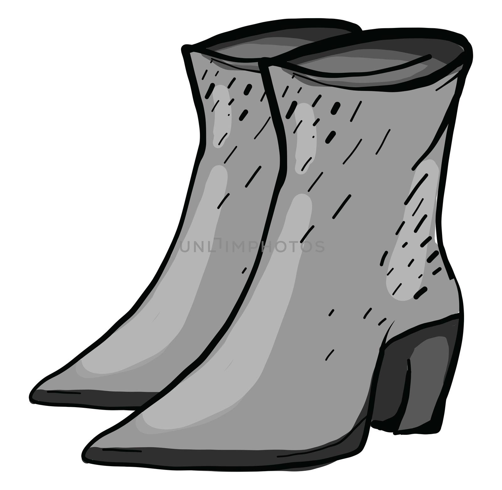 Gray woman boots , illustration, vector on white background by Morphart