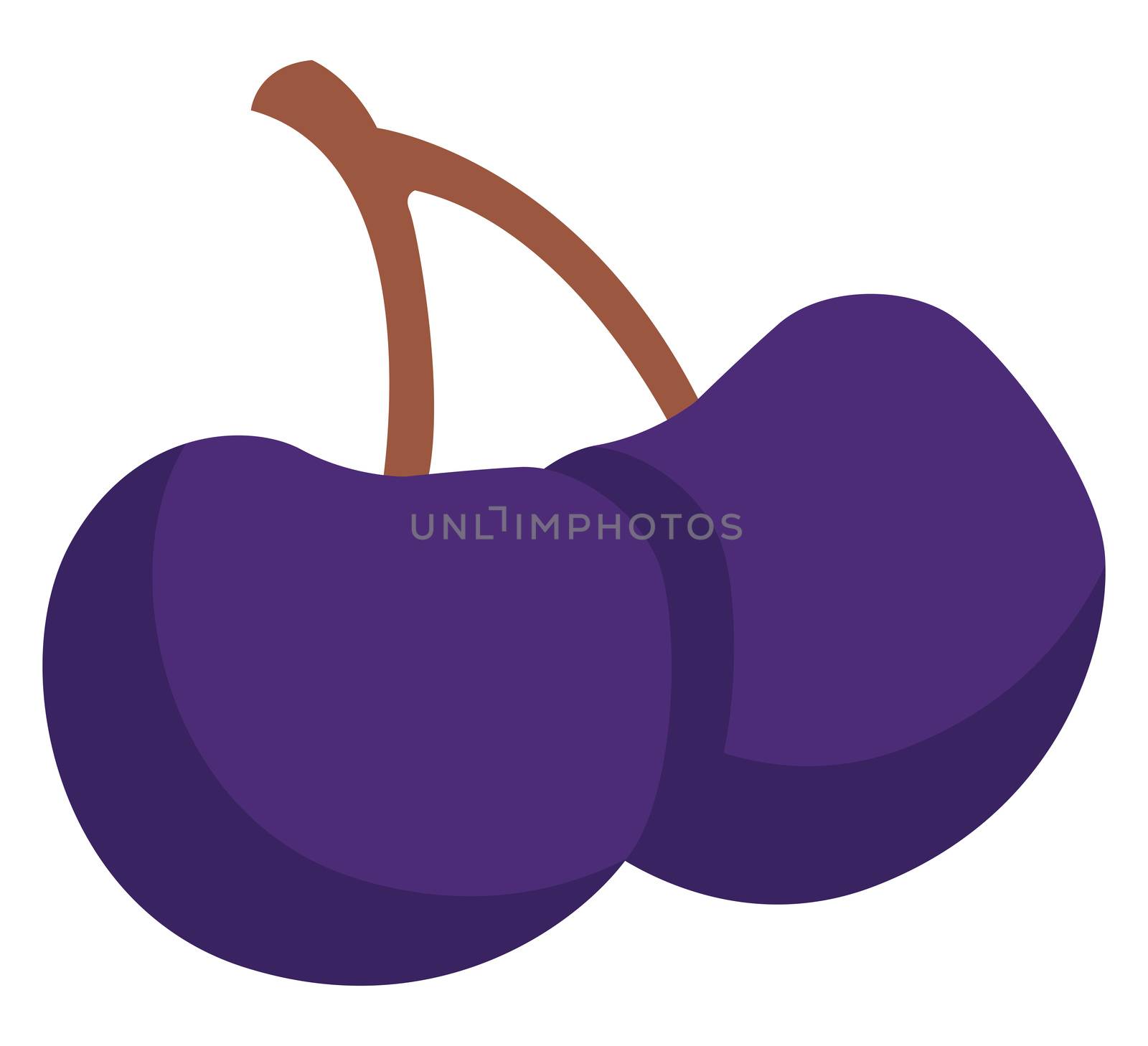 Purple blueberry, illustration, vector on white background by Morphart