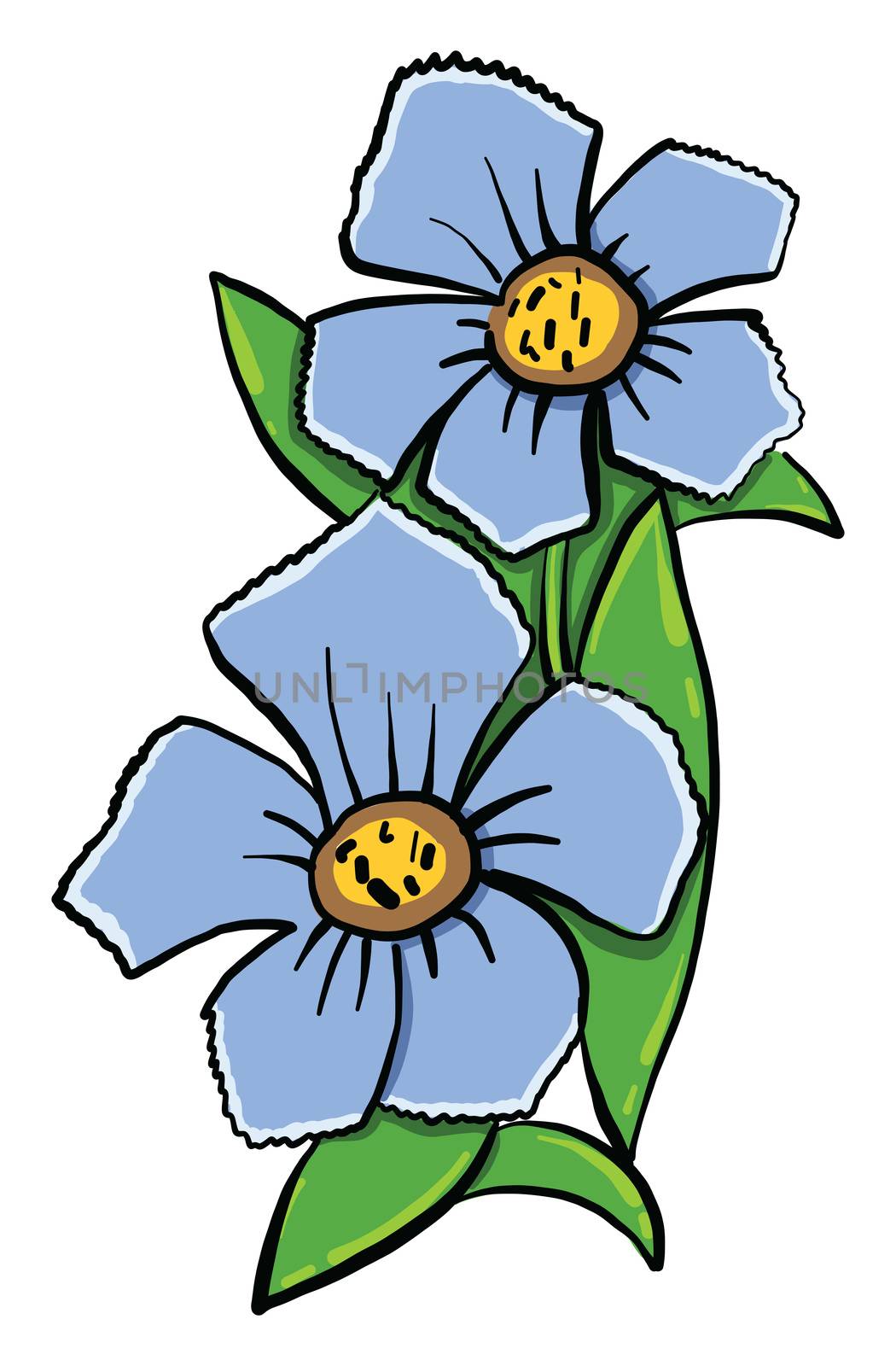 Violets flower , illustration, vector on white background by Morphart