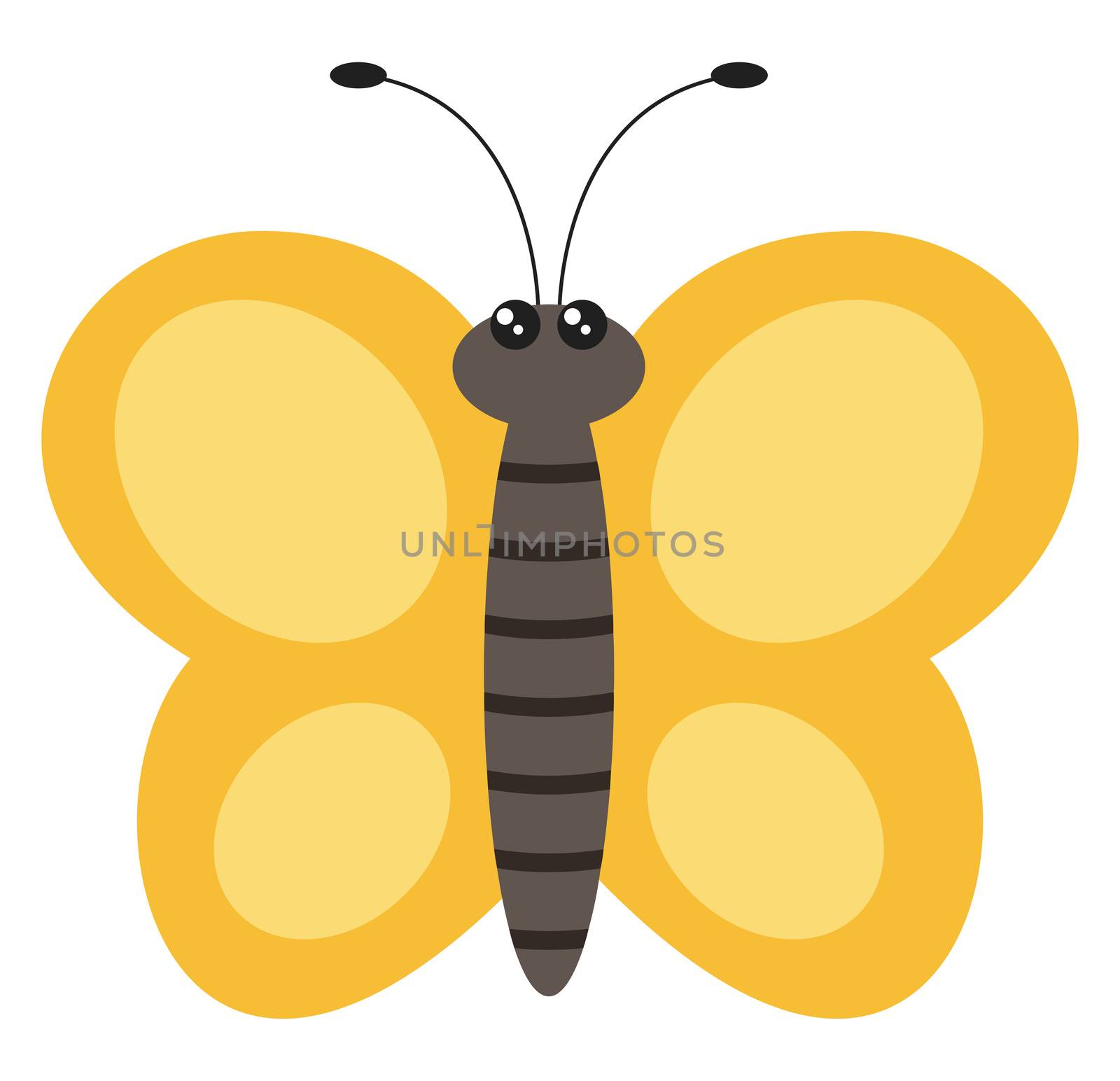 Yellow butterfly, illustration, vector on white background