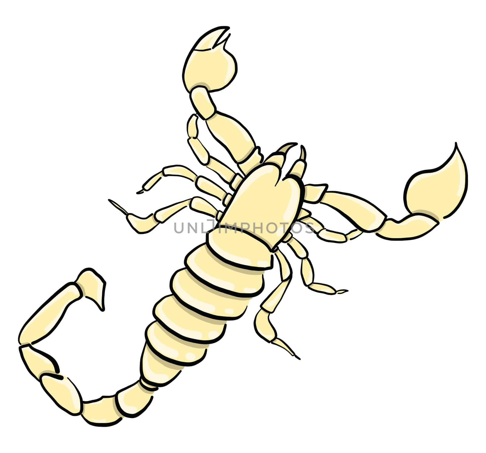 Yellow scorpion , illustration, vector on white background