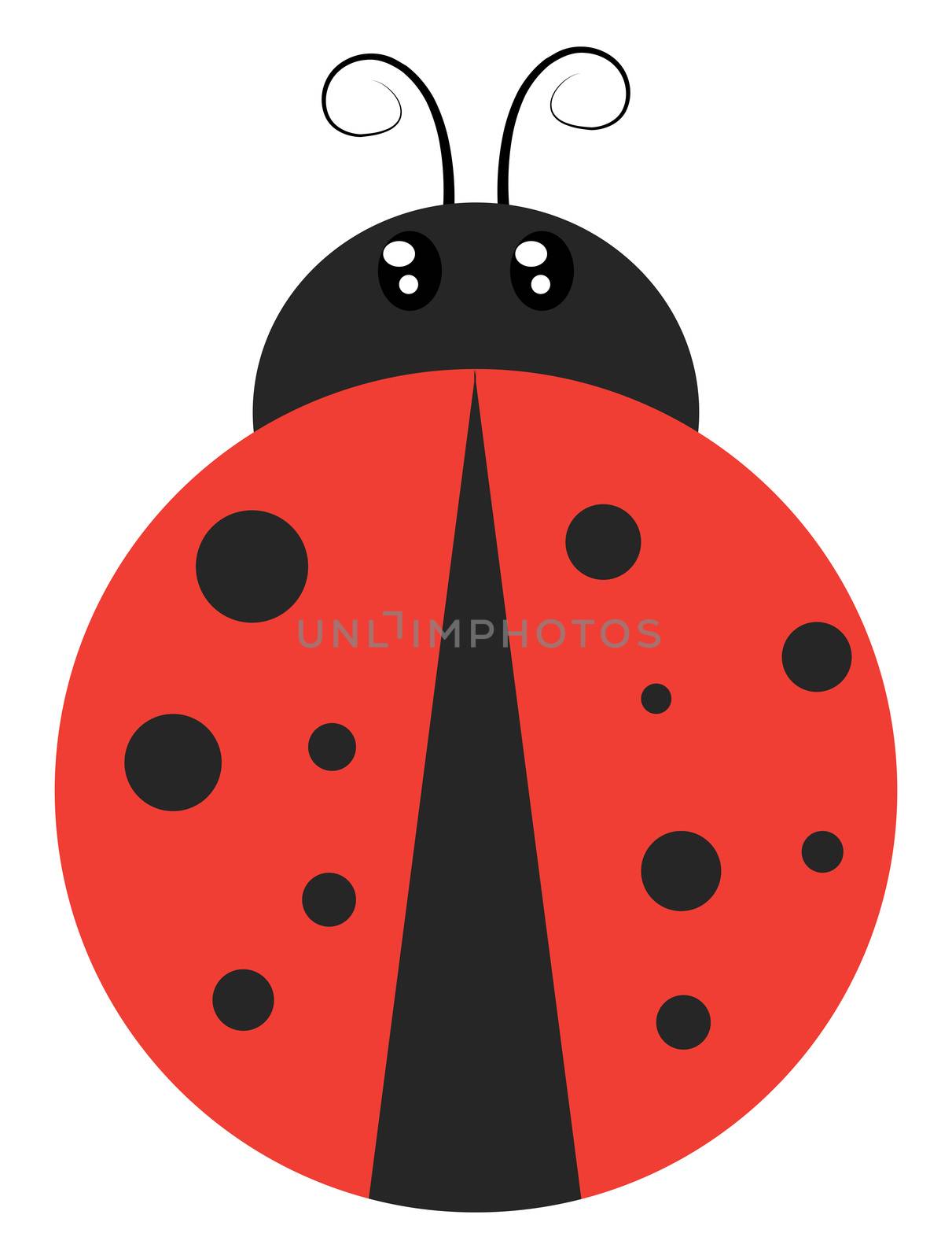 Ladybug flat, illustration, vector on white background