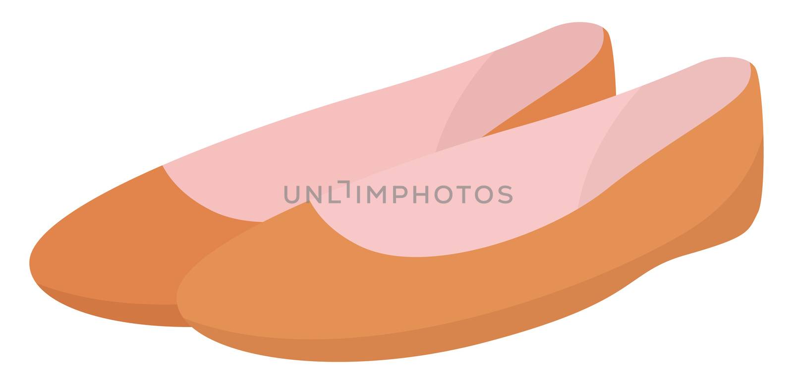 Woman flat shoes, illustration, vector on white background