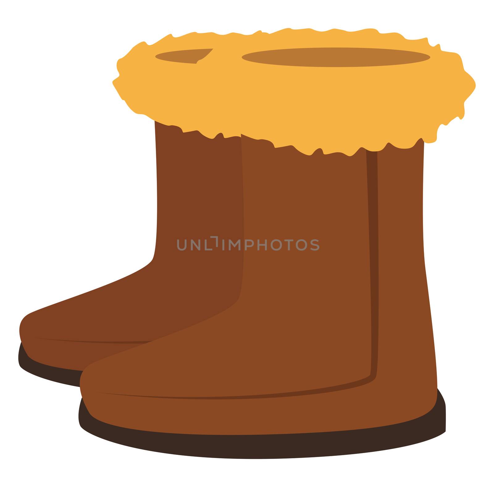 Brown winter woman boots, illustration, vector on white backgrou by Morphart