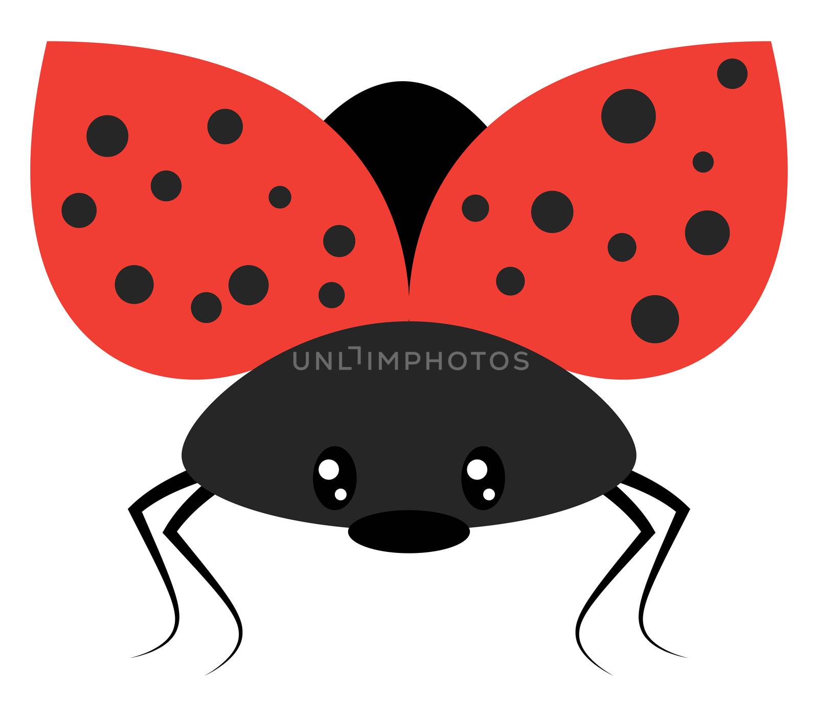 Ladybug flying, illustration, vector on white background by Morphart