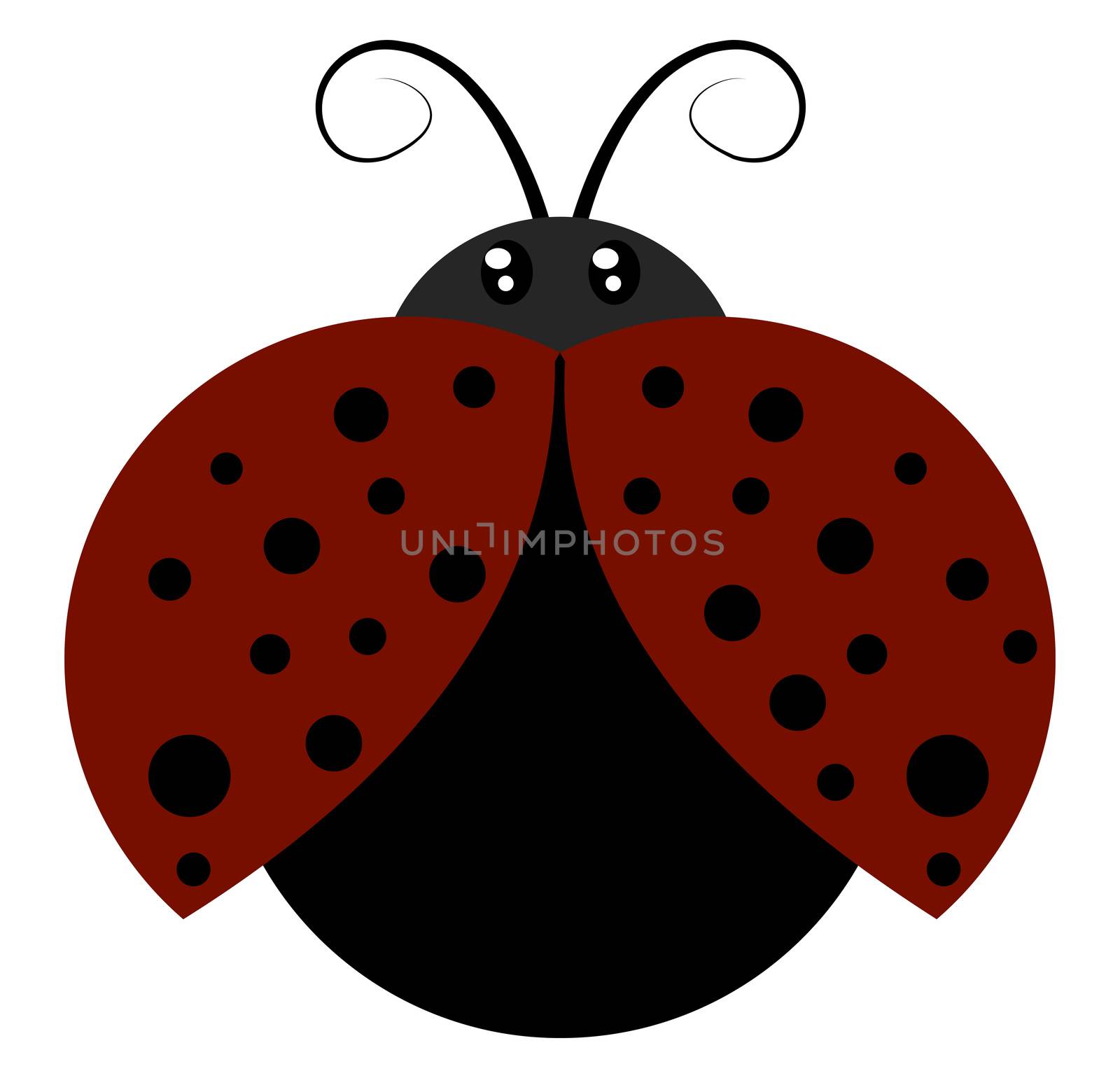 Flying ladybug, illustration, vector on white background