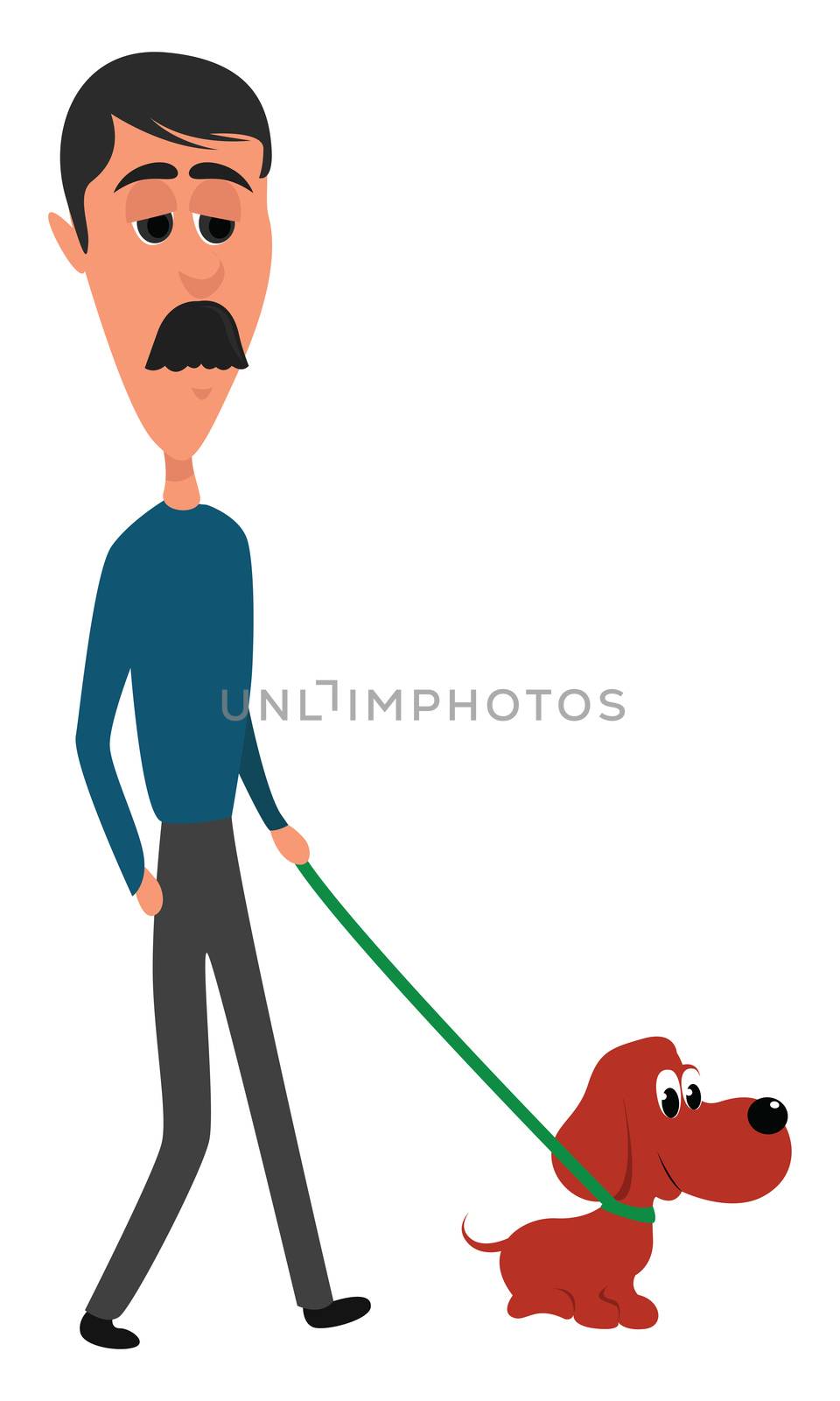 Man walking dog , illustration, vector on white background by Morphart