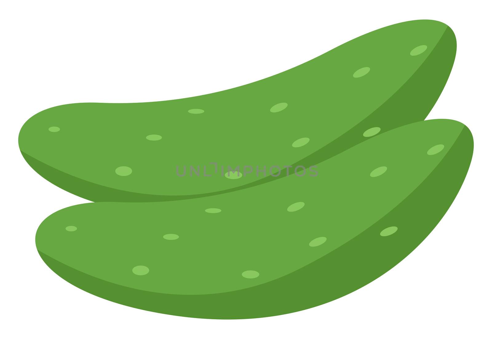 Green cucumbers, illustration, vector on white background by Morphart