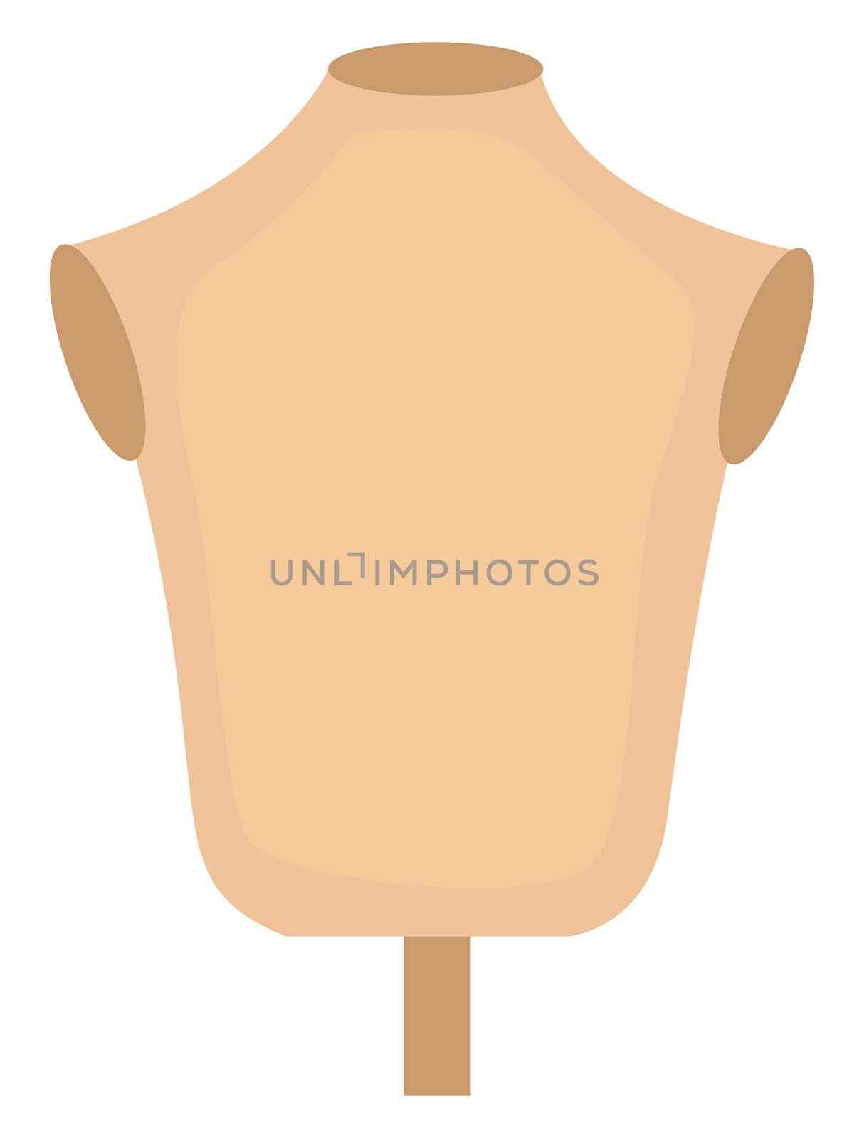 Dummy stand, illustration, vector on white background by Morphart