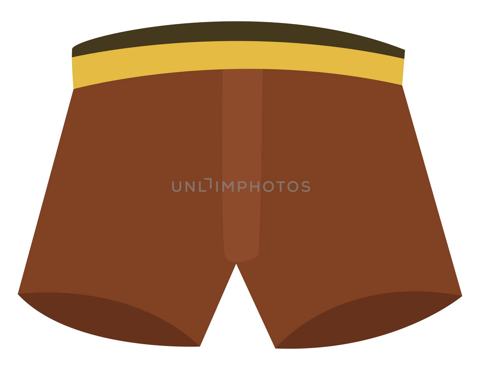 Brown short, illustration, vector on white background