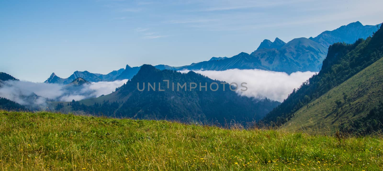 landscape of the Swiss Alps by bertrand
