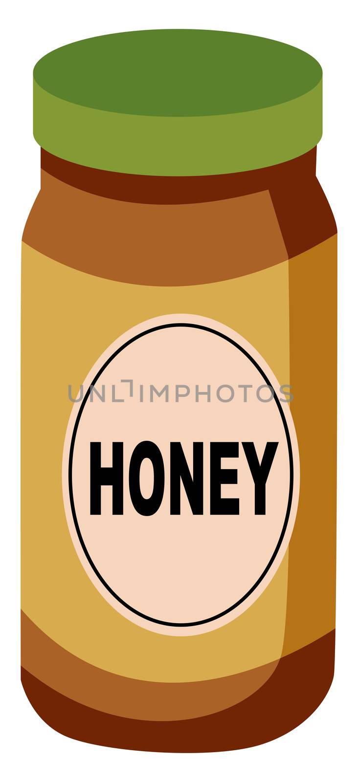 Honey in jar, illustration, vector on white background by Morphart