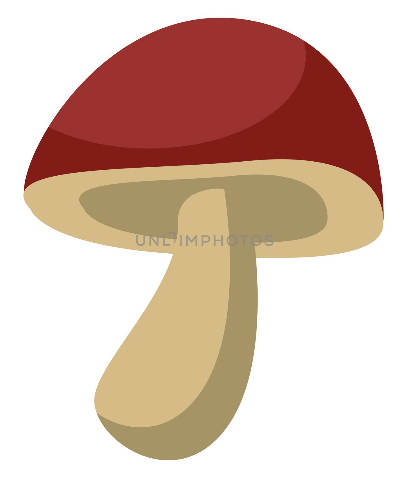 Forest mushroom, illustration, vector on white background by Morphart