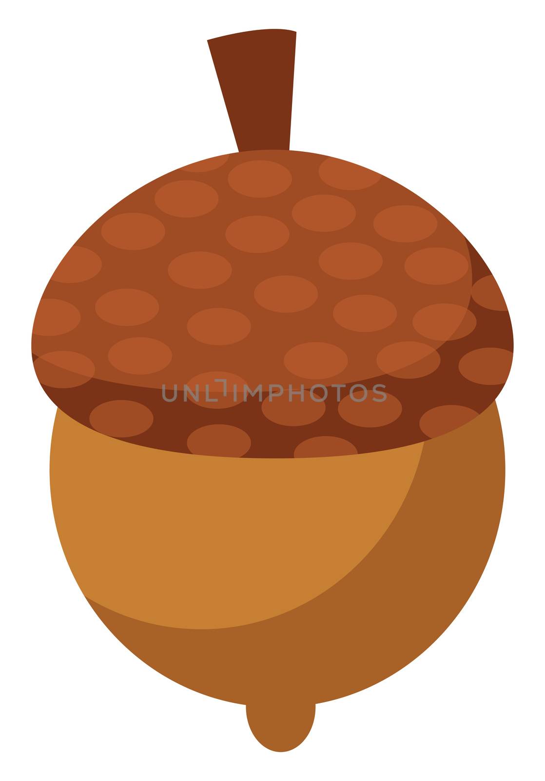 Small nut, illustration, vector on white background by Morphart