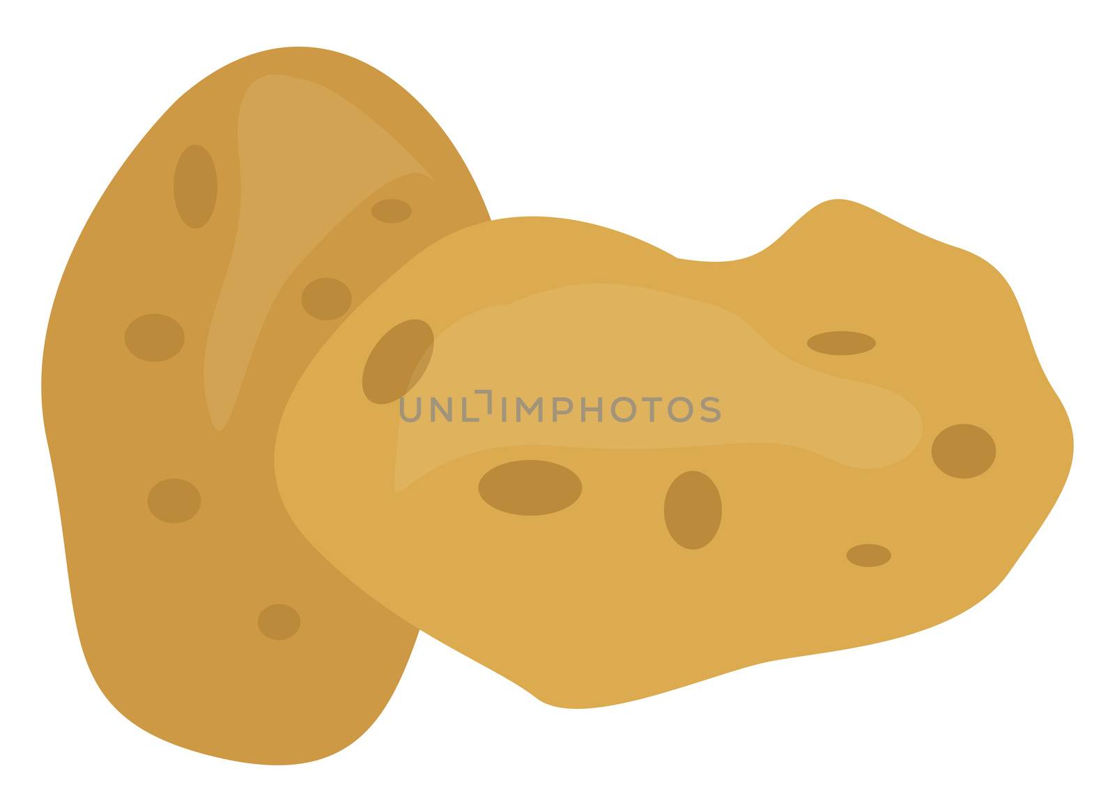 Potato, illustration, vector on white background by Morphart