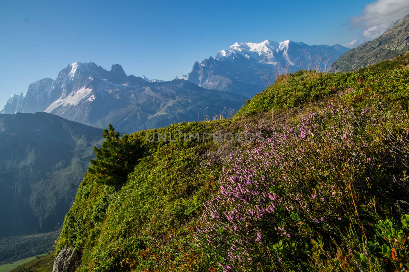 posettesz,chamonix,haute savoie,france