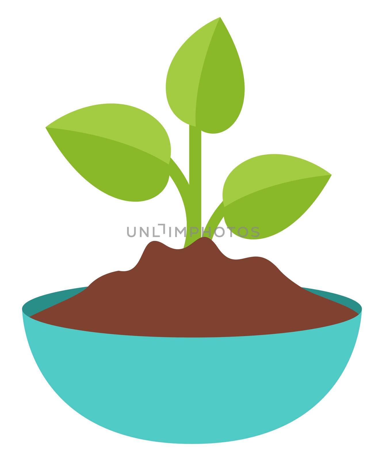 Plant in pot, illustration, vector on white background by Morphart