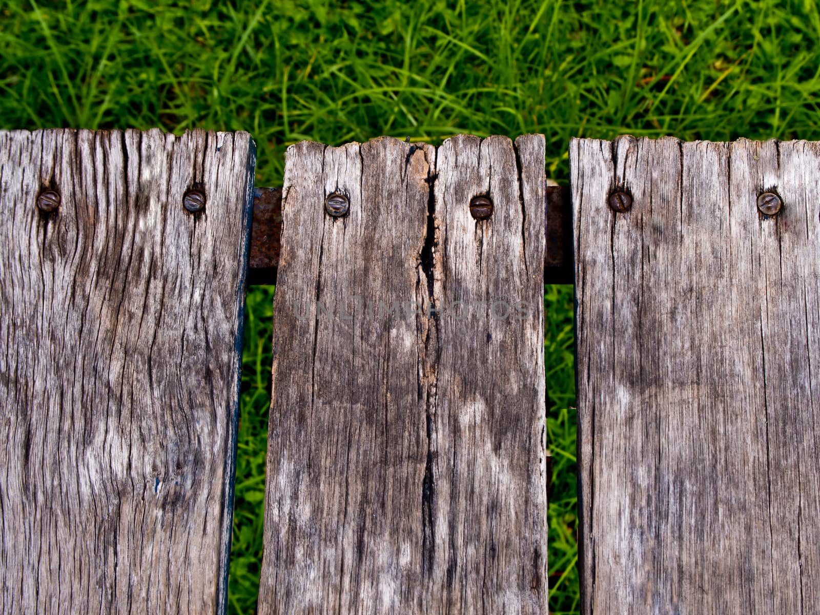 Texture surface of old wooden board / greensward background