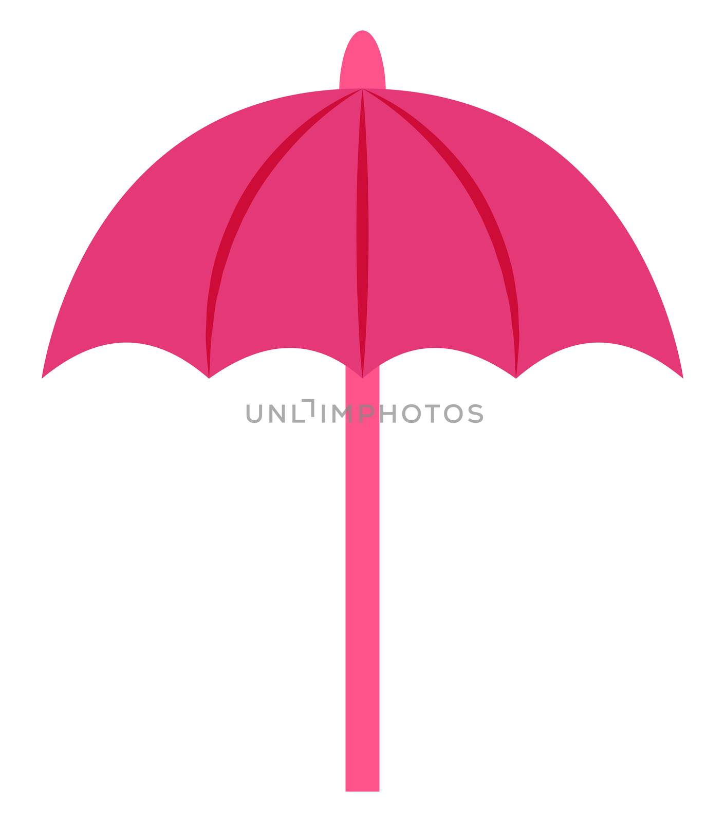 Pink umbrella, illustration, vector on white background by Morphart