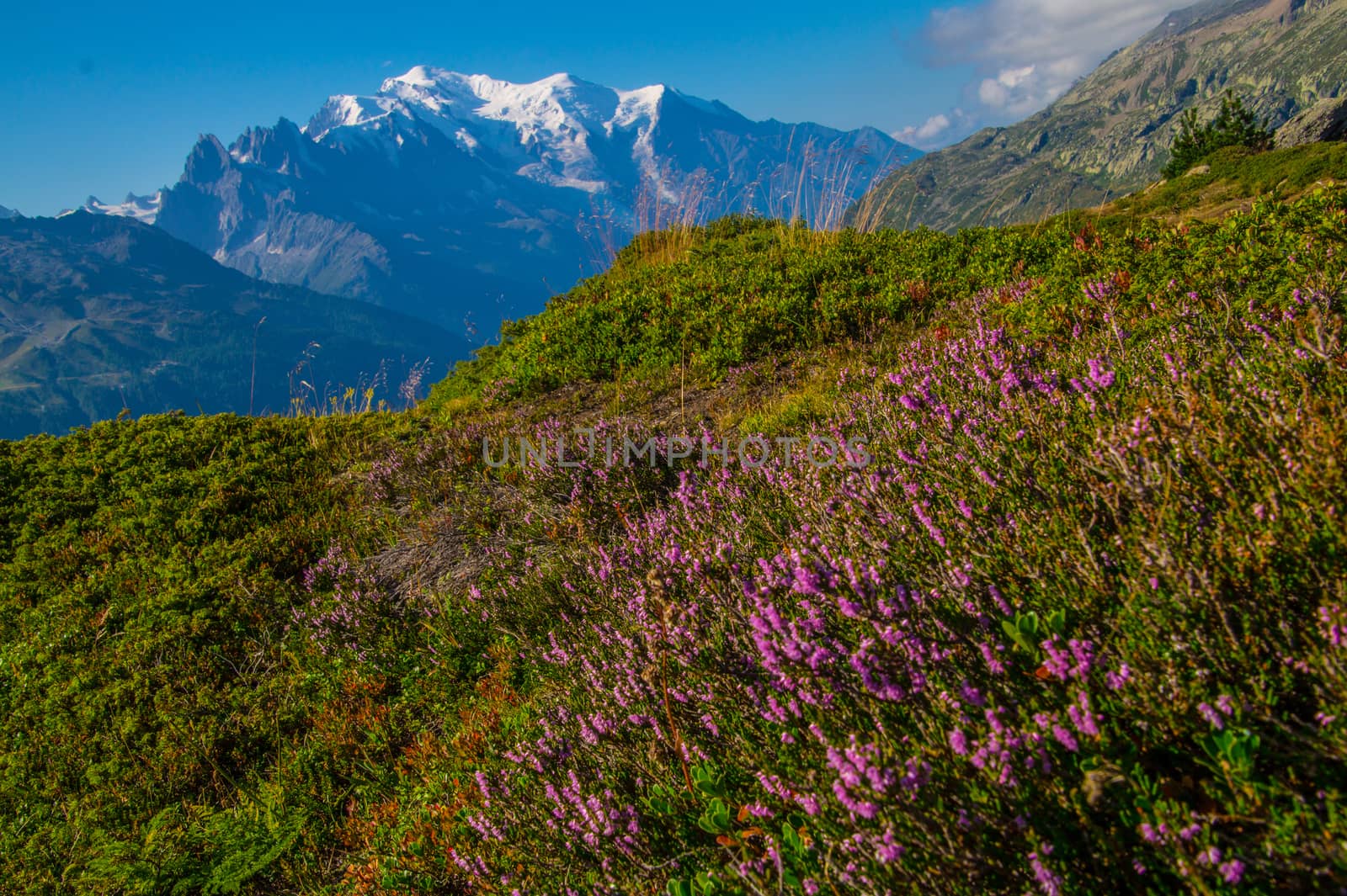 posettesz,chamonix,haute savoie,france