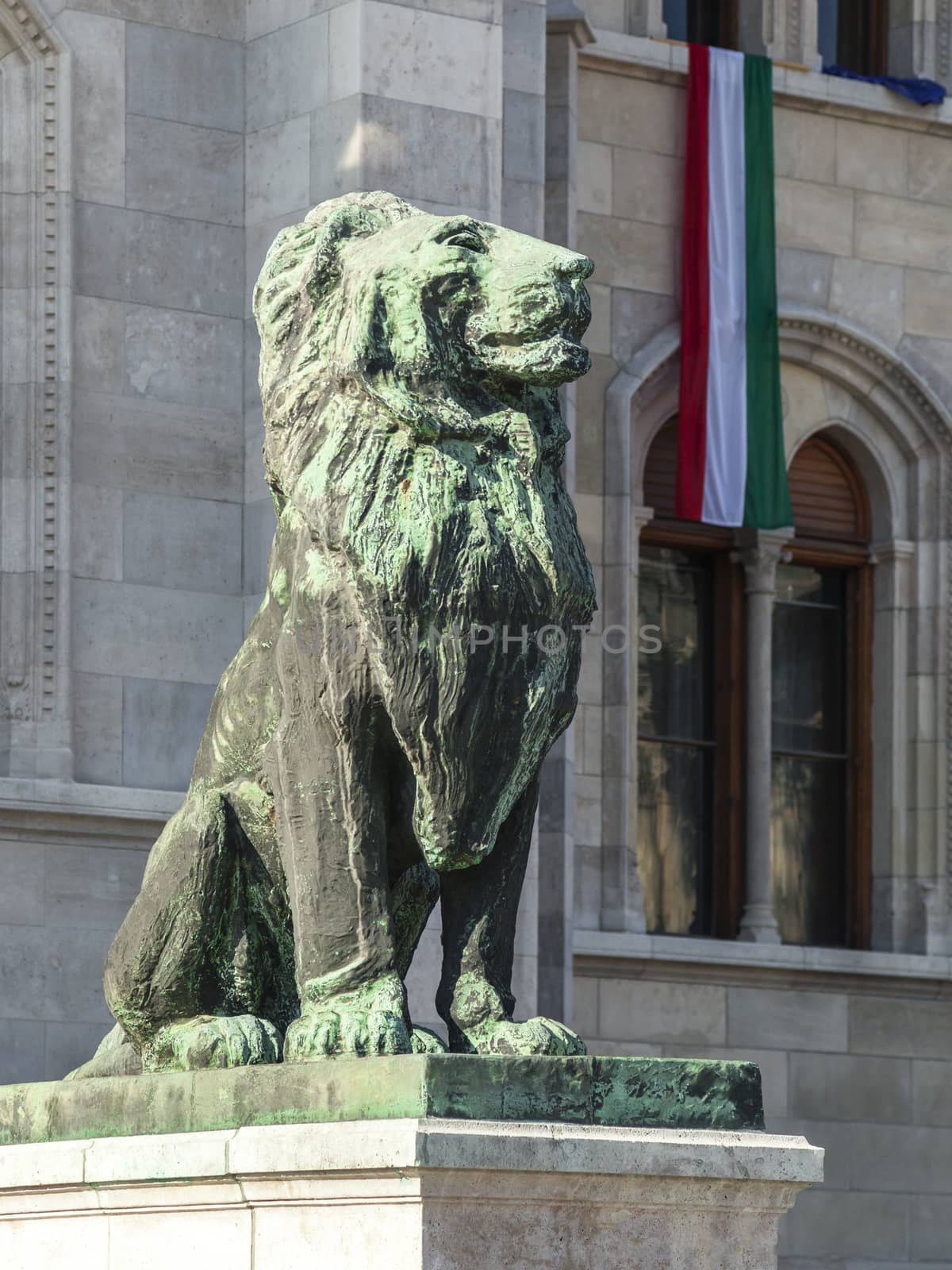 Lion Statue in front of the Budapest Parliament by Goodday