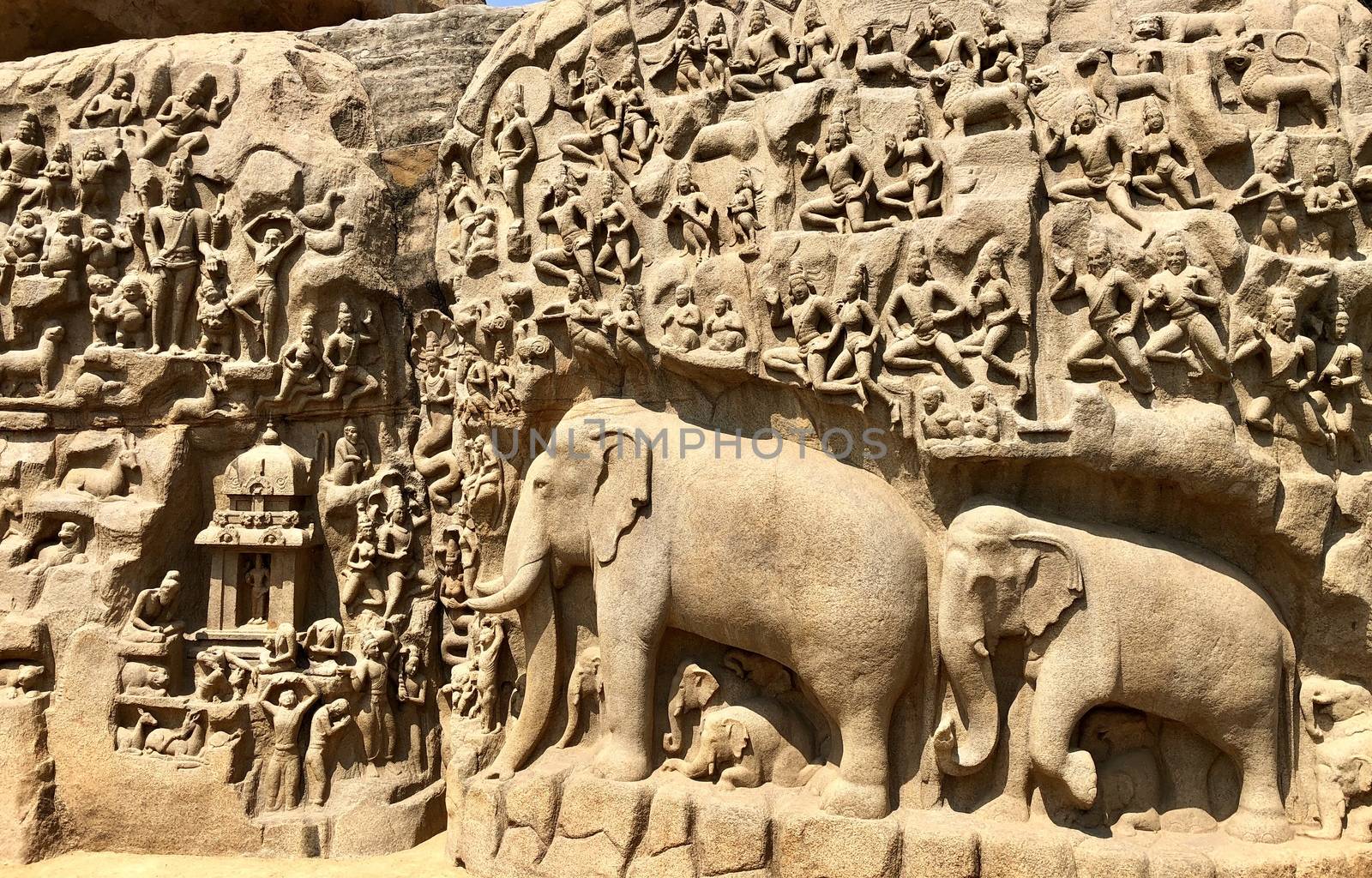 Descent of the Ganges is one of the Group of Monuments at Mahabalipuram and it is a UNESCO World Heritage Site. It is a giant open-air rock cut bas relief sculptures carved on two monolithic rocks. The story depicted in the relief is the descent of the sacred river Ganges to earth from the heavens. The relief was created by Narasimhavarman-1 to celebrate the victory over Chalukiya king. There are 146 sculptures of animals, God, people and half-humans carved in the rock relief.