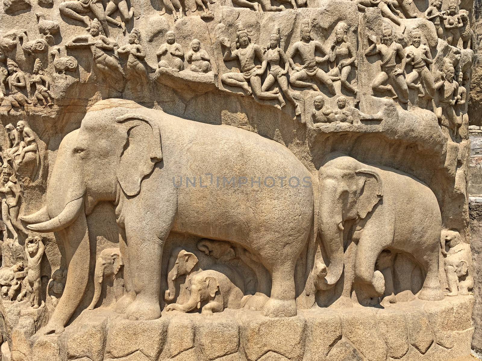 Descent of the Ganges is one of the Group of Monuments at Mahabalipuram and it is a UNESCO World Heritage Site. It is a giant open-air rock cut bas relief sculptures carved on two monolithic rocks. The story depicted in the relief is the descent of the sacred river Ganges to earth from the heavens. The relief was created by Narasimhavarman-1 to celebrate the victory over Chalukiya king. There are 146 sculptures of animals, God, people and half-humans carved in the rock relief.