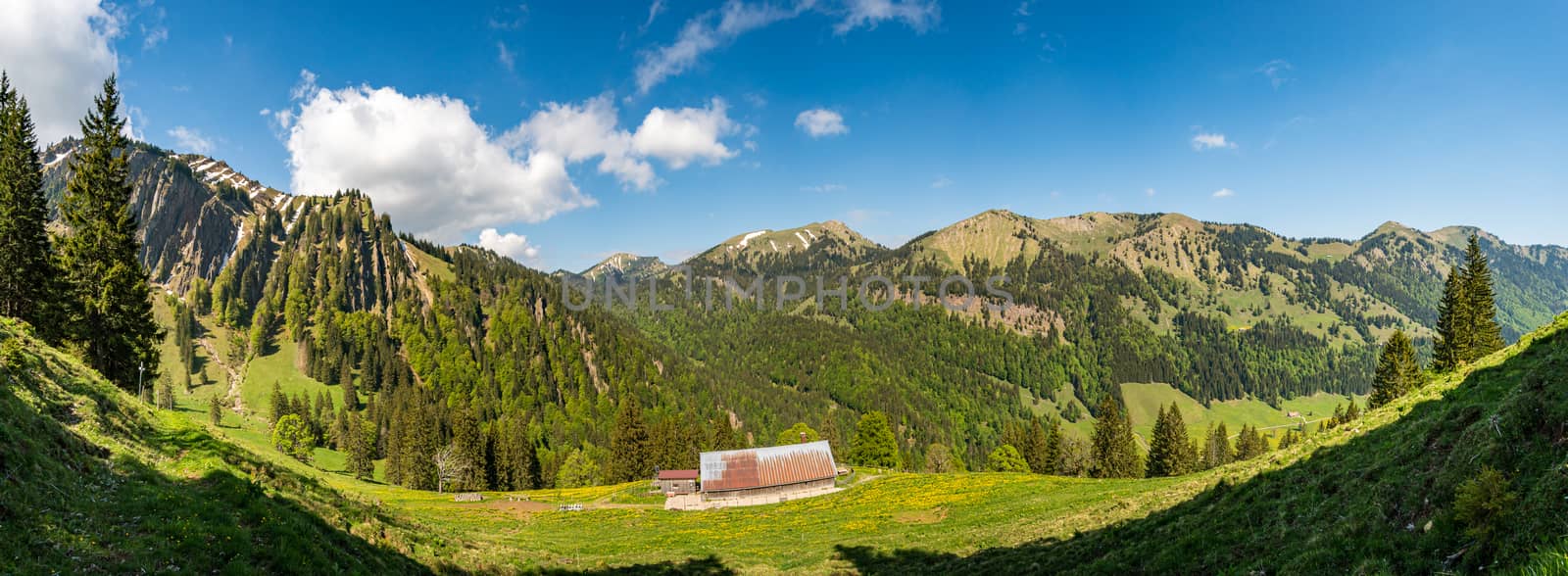 Fantastic mountain tour to the Siplingerkopf and Heidelbeerkopf from the Gunzesried valley in the Allgau Alps