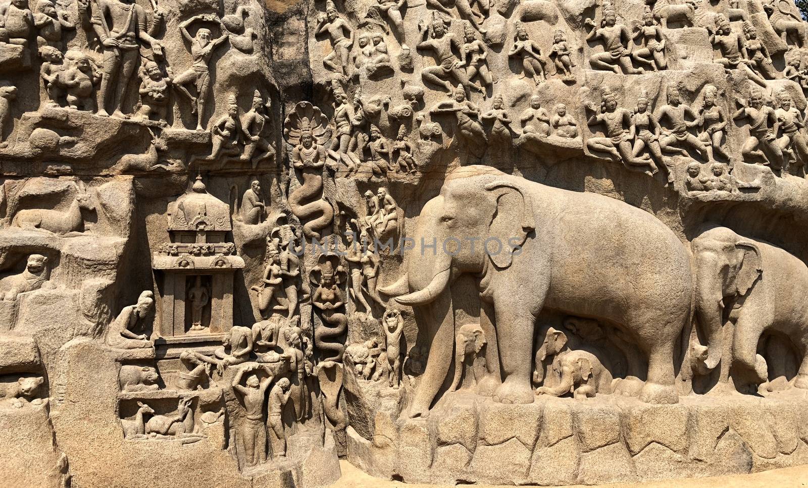 Descent of the Ganges is one of the Group of Monuments at Mahabalipuram and it is a UNESCO World Heritage Site. It is a giant open-air rock cut bas relief sculptures carved on two monolithic rocks. The story depicted in the relief is the descent of the sacred river Ganges to earth from the heavens. The relief was created by Narasimhavarman-1 to celebrate the victory over Chalukiya king. There are 146 sculptures of animals, God, people and half-humans carved in the rock relief.