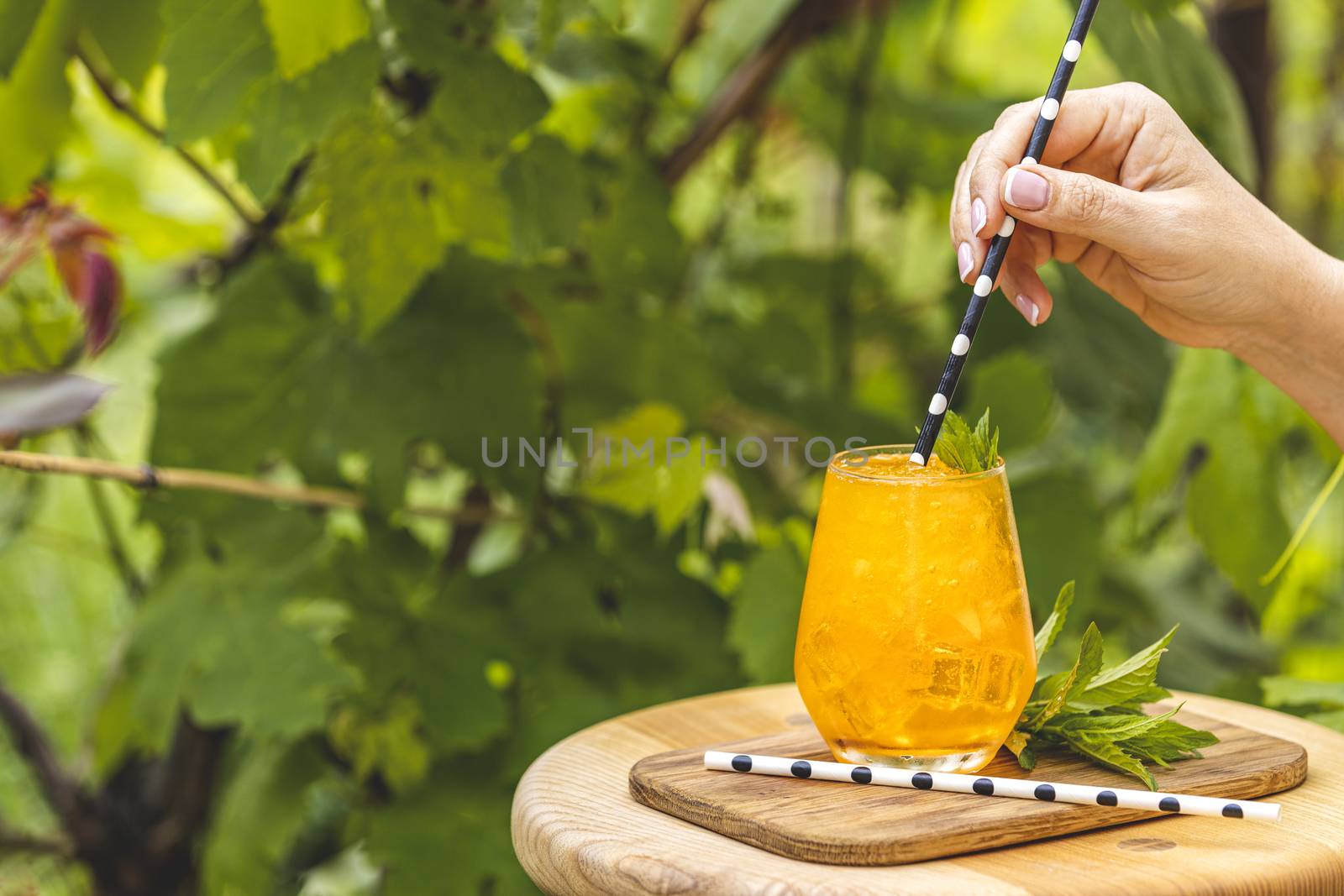 Woman hand holding drinking straw over orange drink with ice on summer sunny garden background. Fresh cocktail drinks with ice fruit and herb decoration. 