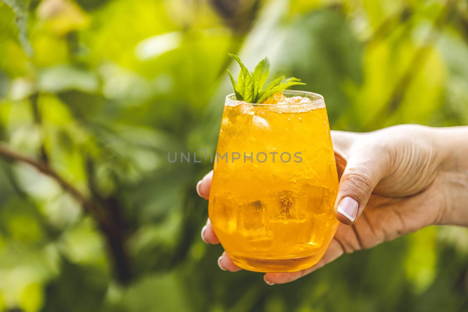 Woman hand holding orange drink with ice on summer sunny garden  by ArtSvitlyna