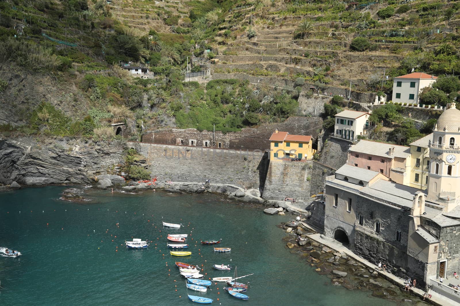 Tourist boat Europe