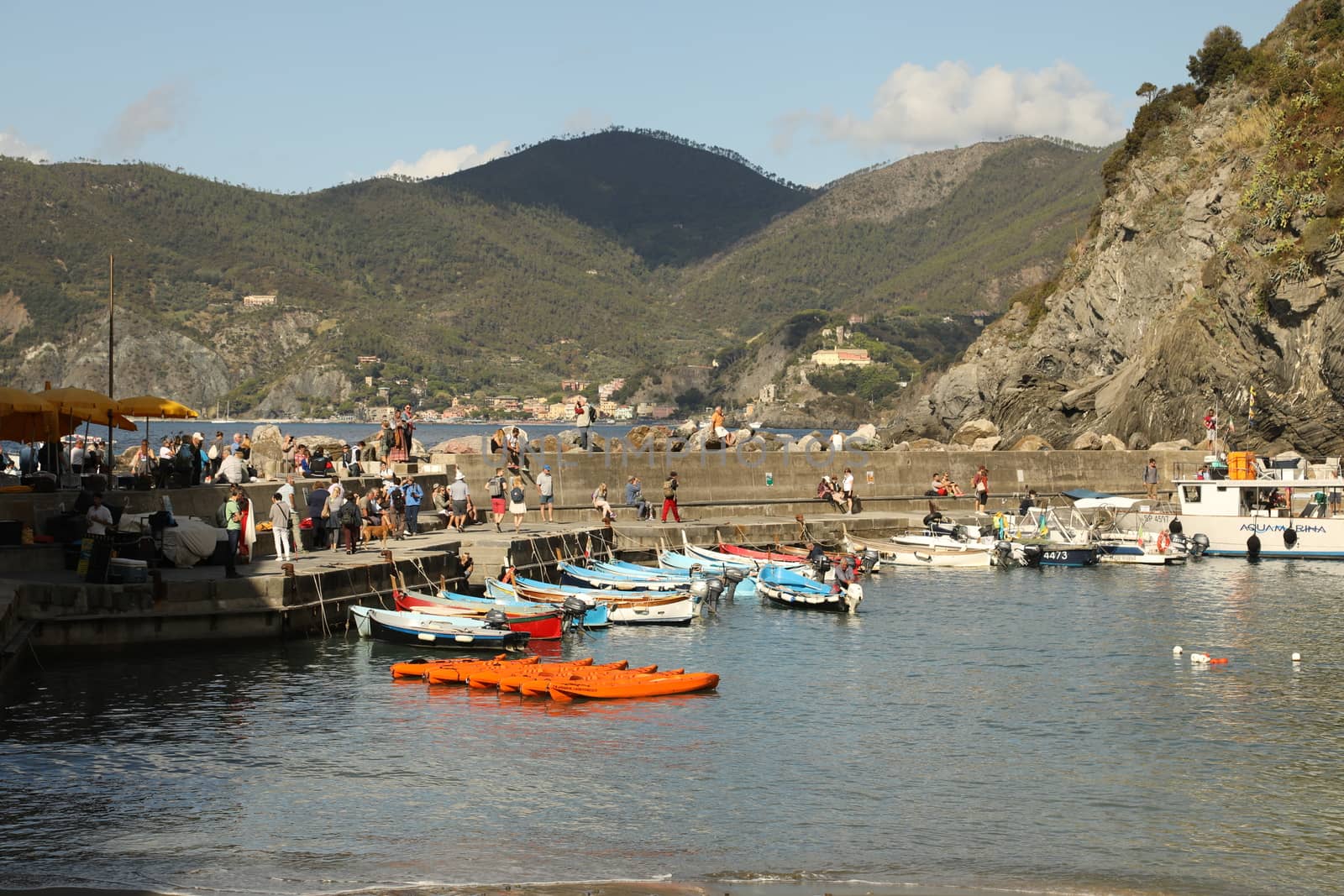 Tourist boat Europe