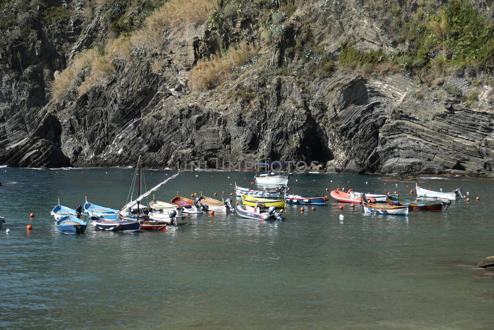 Tourist boat Europe