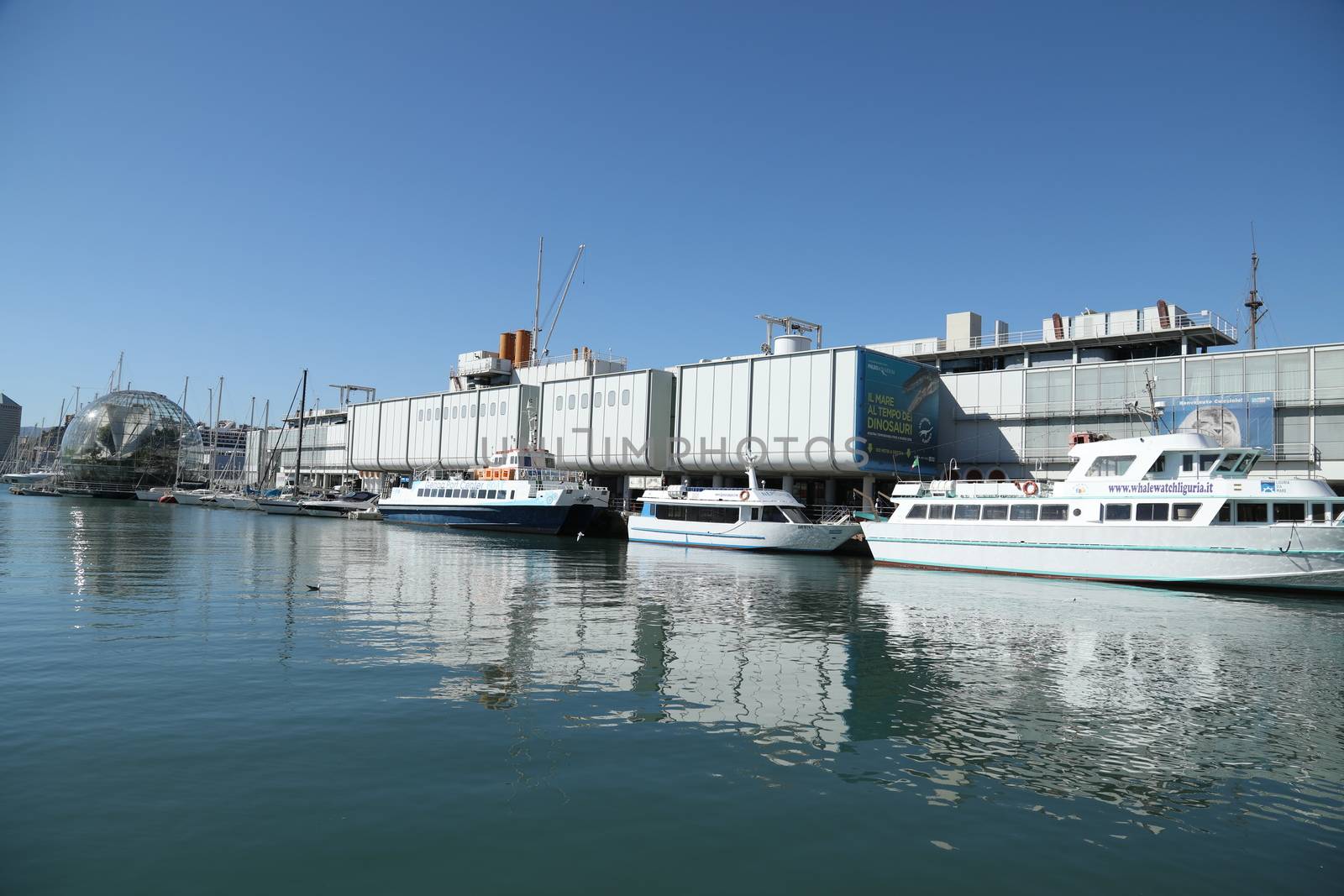 Tourist boat Europe