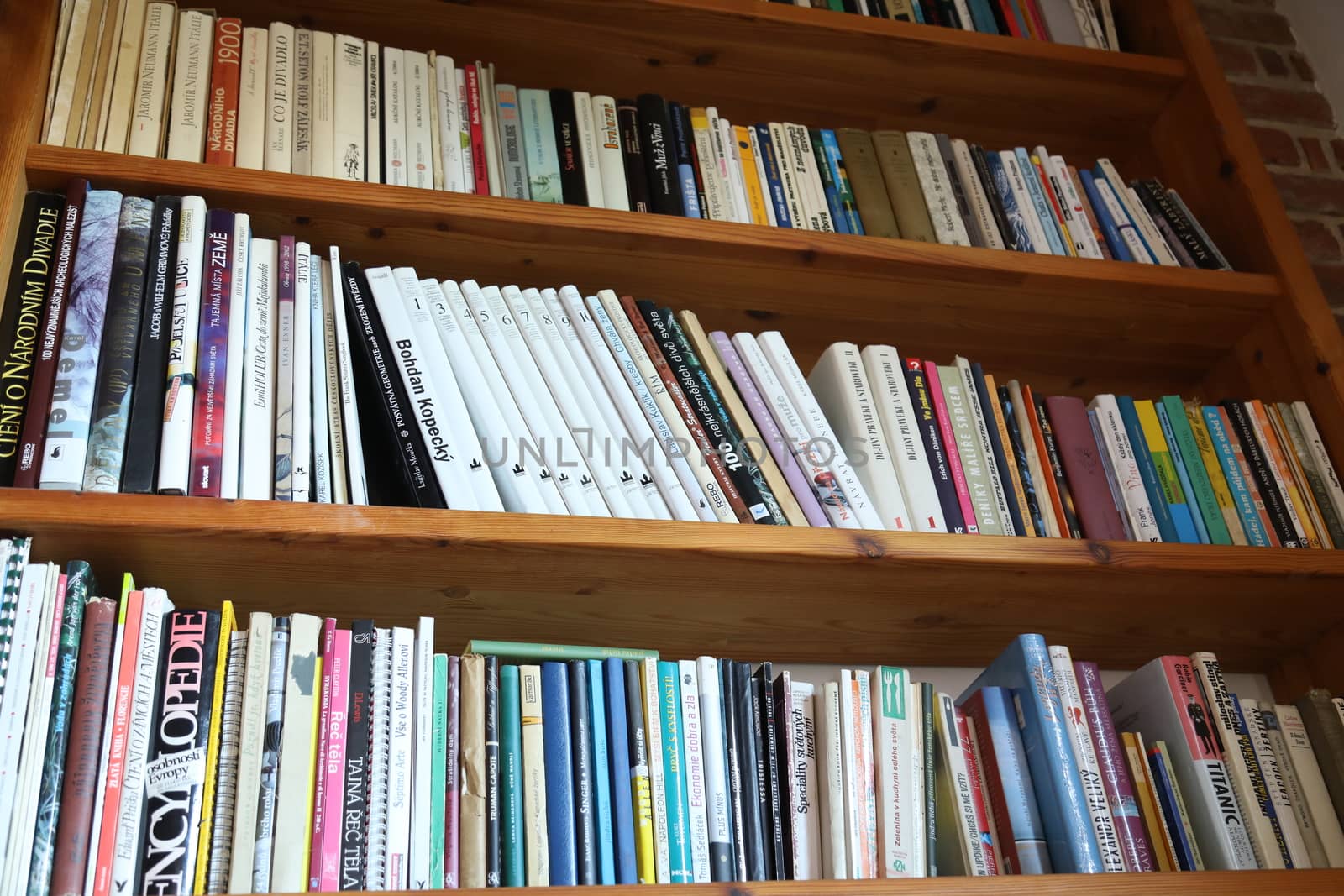 Books in the Library