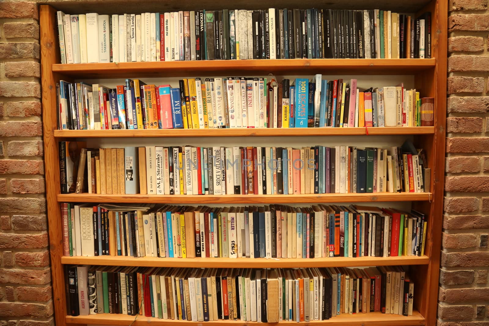 Books in the Library